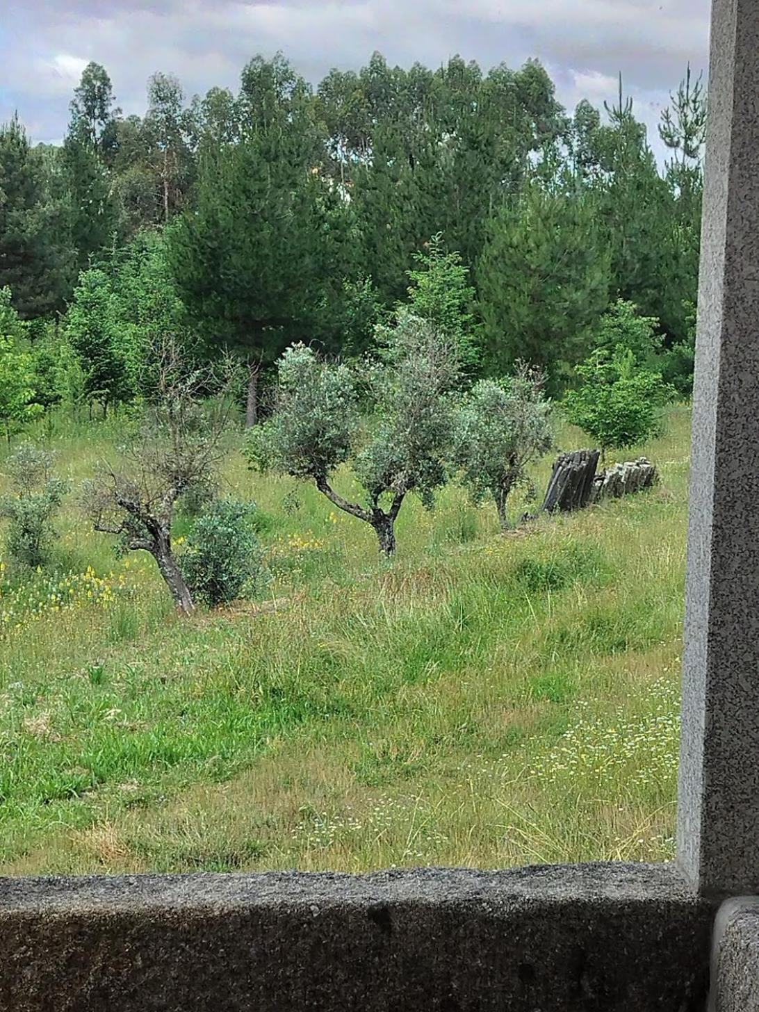 Arpuro Villa Gouveia  Eksteriør billede