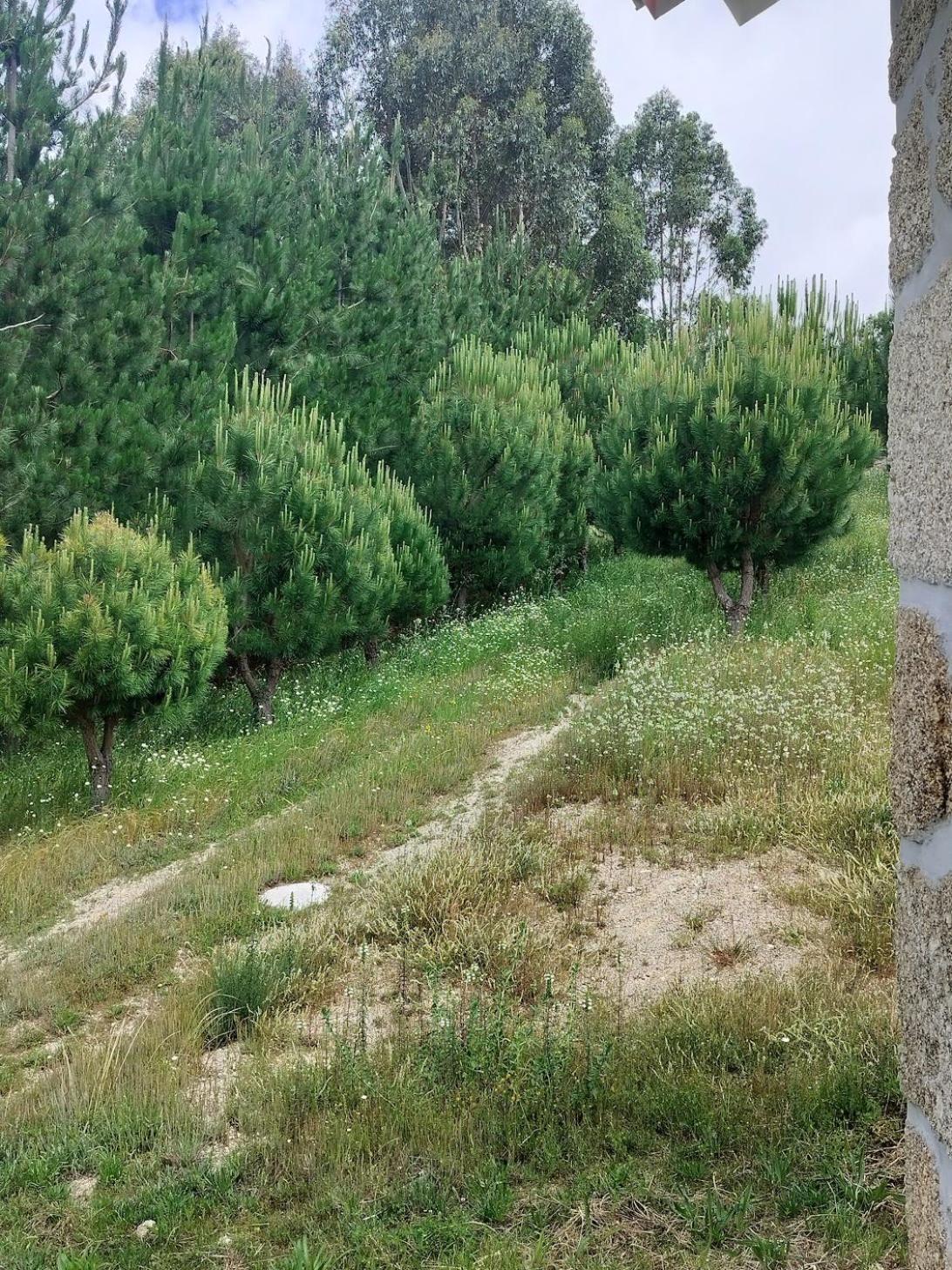 Arpuro Villa Gouveia  Eksteriør billede